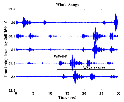 Whale song packets